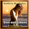 Meditation "Sinn des Lebens" - Live-Mitschnitt kostenlos