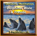 Meditation "Delphine, Wale und Freude" - Live-Mitschnitt kostenlos